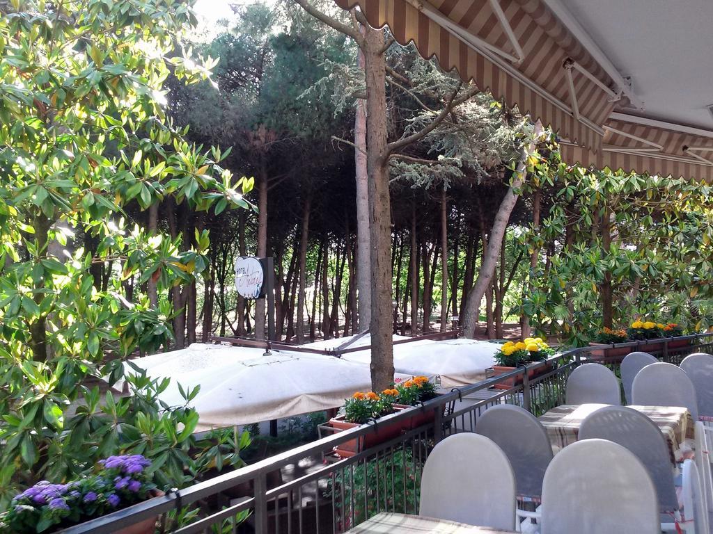 Hotel Antares Cervia Eksteriør billede